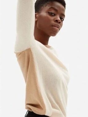 Everlane Cream and Tan Two-Tone Slim Crew Cashmere Sweater